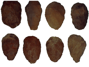 படிமம்:Athirampakkam paleolithic tools.gif