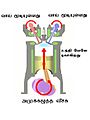 19:25, 14 சூன் 2008 இலிருந்த பதிப்புக்கான சிறு தோற்றம்