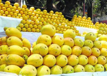 దస్త్రం:Banaganapally mangoes.jpg