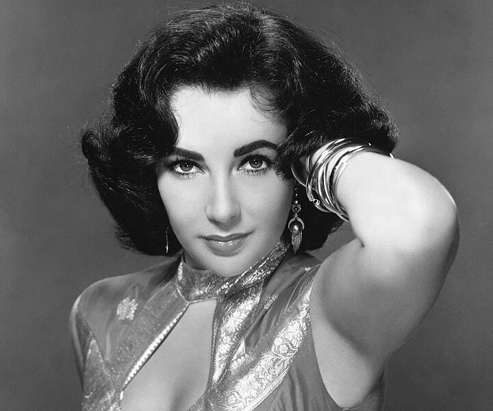 దస్త్రం:Elizabeth-taylor-3.jpg