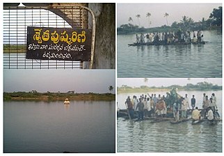 శ్రీకూర్మాం ఆలయ శ్వేత పుస్కరిణి.