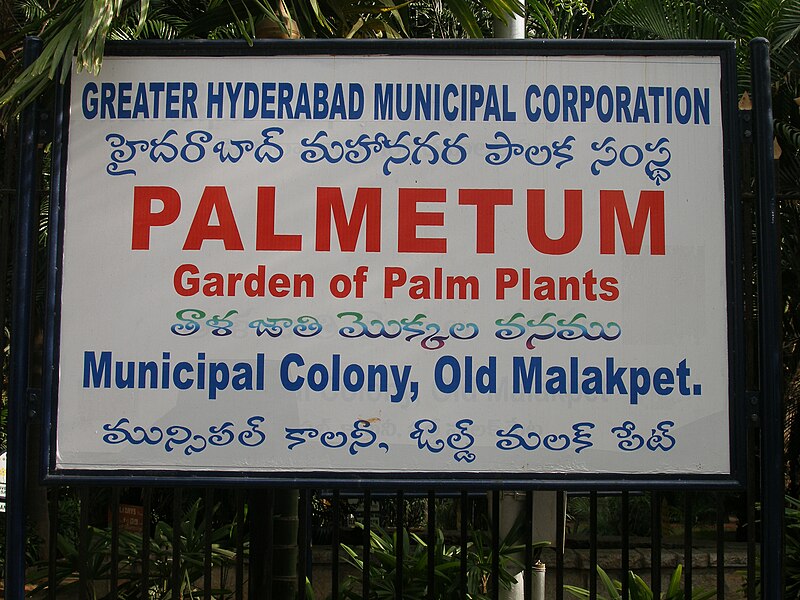 దస్త్రం:PalmetumMalakpet1.JPG