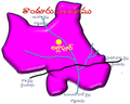 18:59, 5 జనవరి 2013 నాటి కూర్పు నఖచిత్రం