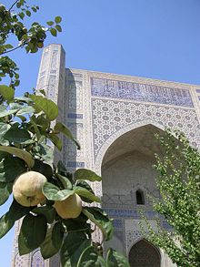 Акс:Bibi-Khanum Mosque gate.jpg