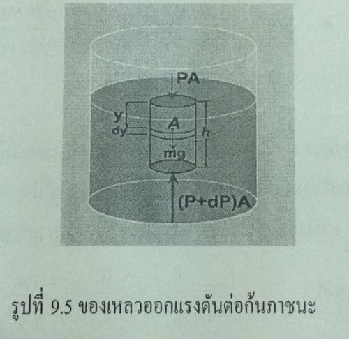 ไฟล์:ImageResizer.net - prj0vva5y8vcw5s.jpg