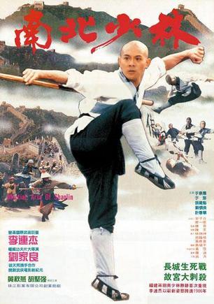 ไฟล์:Martial Arts of Shaolin.jpg