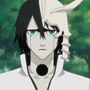 ไฟล์:Ulquiorra Schiffer Anime.jpg