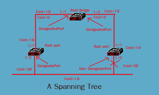 ไฟล์:Spanning tree2.jpg