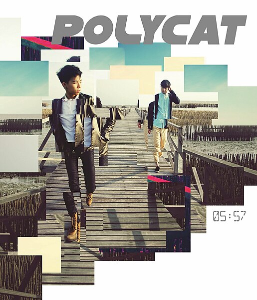 ไฟล์:Polycat 05-57 cover.jpg