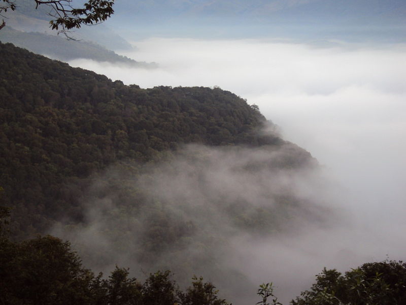 ไฟล์:View Point Khun Nan National Park 04.JPG