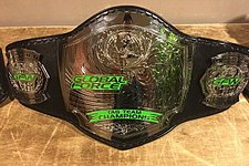 An image of the จีเอฟดับเบิลยู แท็กทีม แชมเปี้ยนชิพ GFW Tag Team Championship.