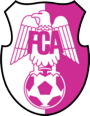 Dosya:FC-Arges-Pitesti.png