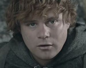 Samwise.jpg