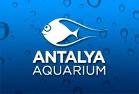 Antalya Aquarium