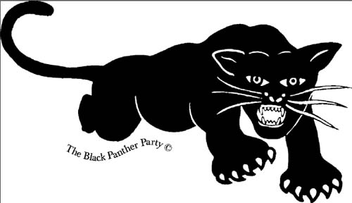 Файл:Blackpanterpartylogo.jpg