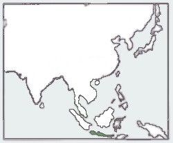 Мапа розповсюдження виду Hystrix javanica