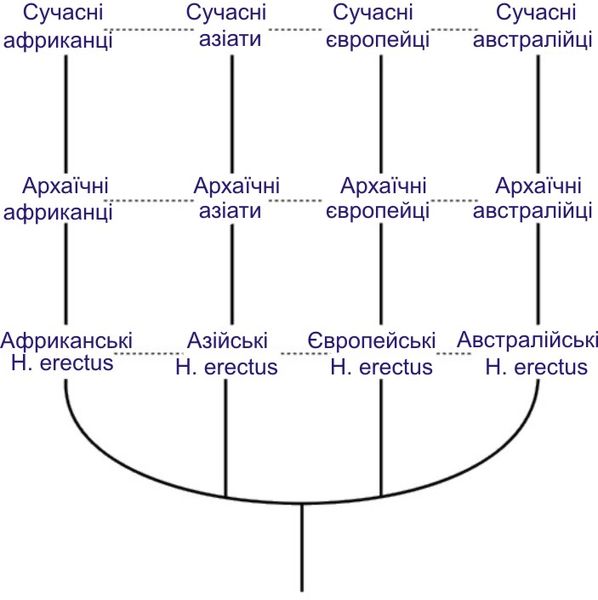 Файл:Multiregionaltheory.jpg