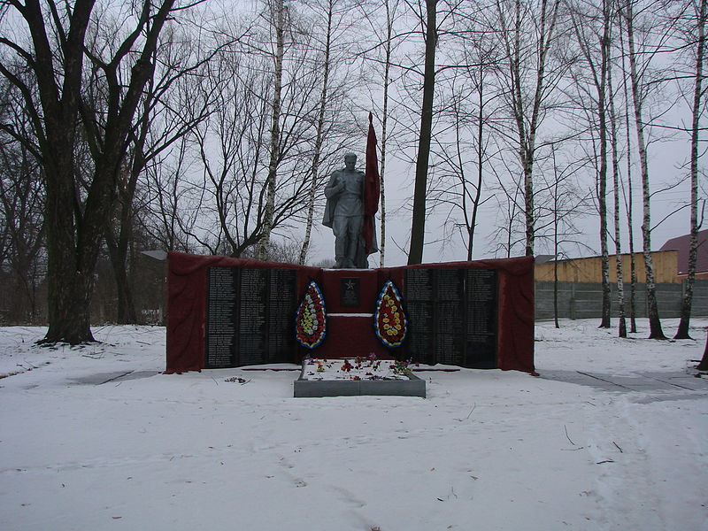 Файл:Братська могила воїнів Радянської Армії, які загинули в роки Великої Вітчизняної війни, Гостролуччя.JPG