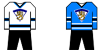 Finland hockey outfit.png