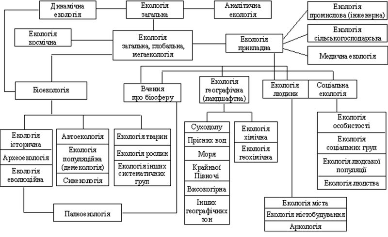 Файл:Структура екології.png