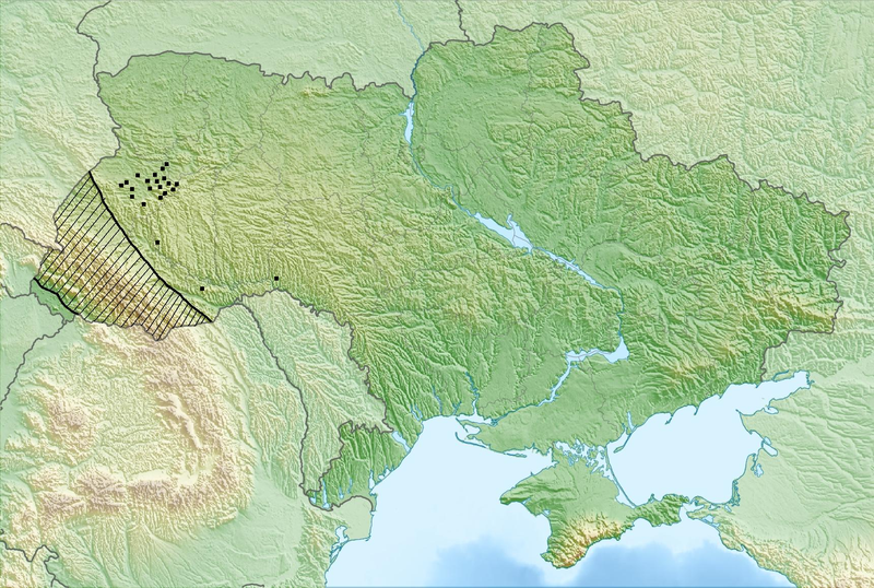 Файл:Ukraine Leucojum vernum L. map.PNG