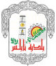 فائل:Nablus Logo.jpg