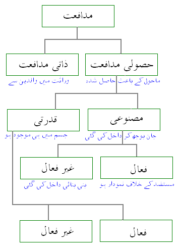 فائل:IMMUNITYTREE.PNG