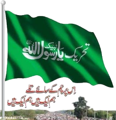 فائل:Tehreek-e-Labbaik Pakistan logo.png