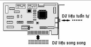 Tập tin:Nic2.jpg