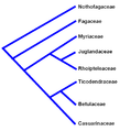 Hình xem trước của phiên bản lúc 08:15, ngày 10 tháng 9 năm 2008