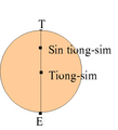 2007-nî 5-goe̍h 7-ji̍t (pài-it) 04:53 bēng-buōng gì sáuk-liŏk-dù