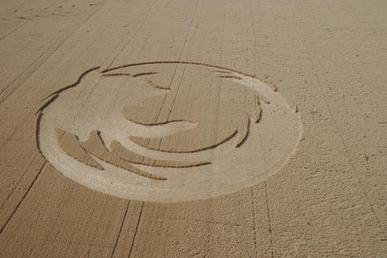 File:Firefox Crop Circle.jpg