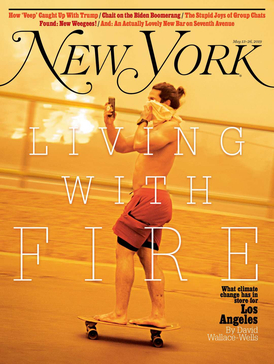 File:New York Magazine.jpg May 13-26.jpg