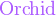 \color{Orchid}\text{Orchid}