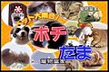 2017年3月4日 (六) 12:44版本的缩略图