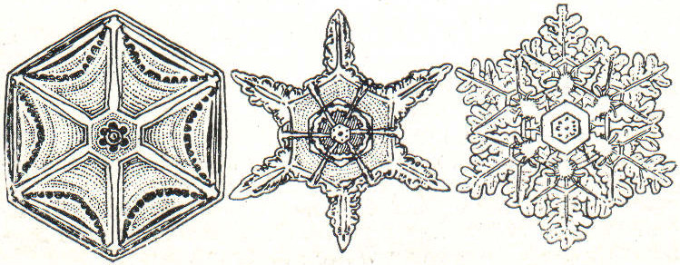 Datei:LA2-Blitz-0334 schneekristalle.jpg