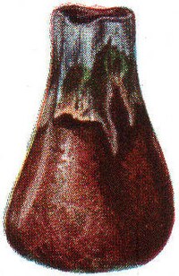 14. Steinzeug von Herm. Mutz, Altona, 1907.
