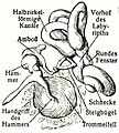 Vorschaubild der Version vom 19:33, 28. Dez. 2013