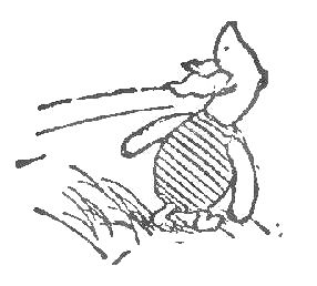 File:The House at Pooh Corner (1961) (page 148-2 crop).jpg