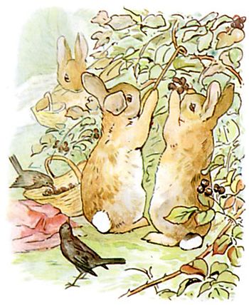 Flopsy, Mopsy, and Cotton-tail, who were good little bunnies, went down the 