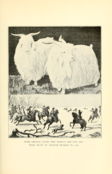 File:Centennial History of Oregon 1811-1912, Volume 1.djvu-515.png