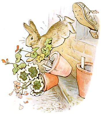 http://upload.wikimedia.org/wikisource/en/thumb/e/eb/PeterRabbit18.jpg/350px-PeterRabbit18.jpg