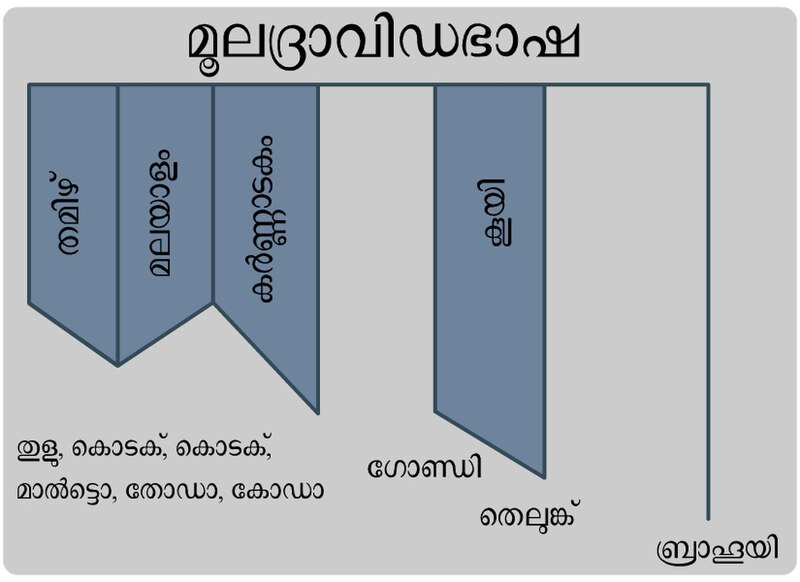 പ്രമാണം:Kaippally Chart3.jpg