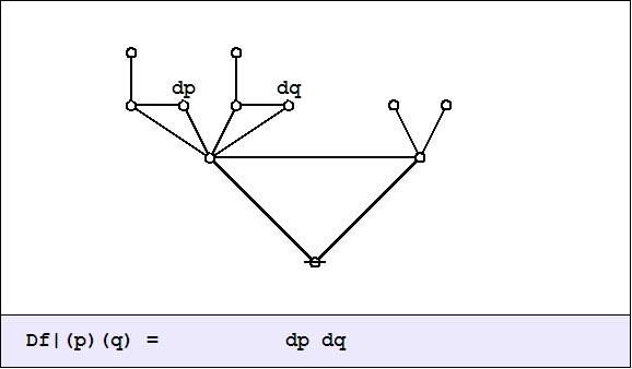 File:Cactus Graph Df@(P)(Q) = dP dQ.jpg