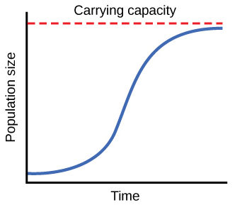 File:S-shapedcurve.jpg