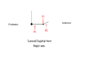 Figure 3 Sagittal view of 3 point force system acting to maintain wrist extension