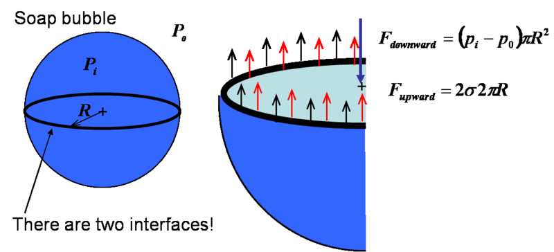 File:Surface tension Example 2.png