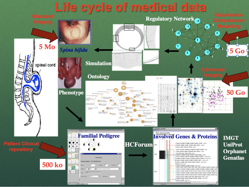 File:1.Life Cycle of Medical Data.png