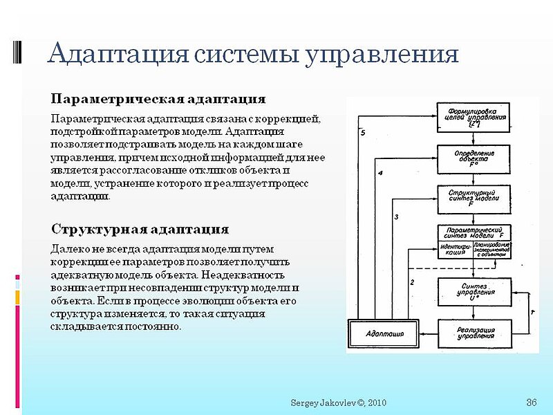 Файл:RNAInSpace 36.JPG