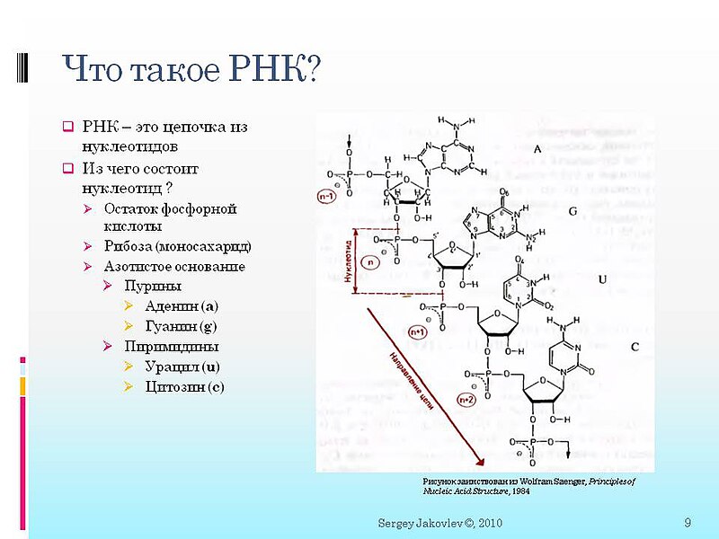 Файл:RNAInSpace 09.JPG